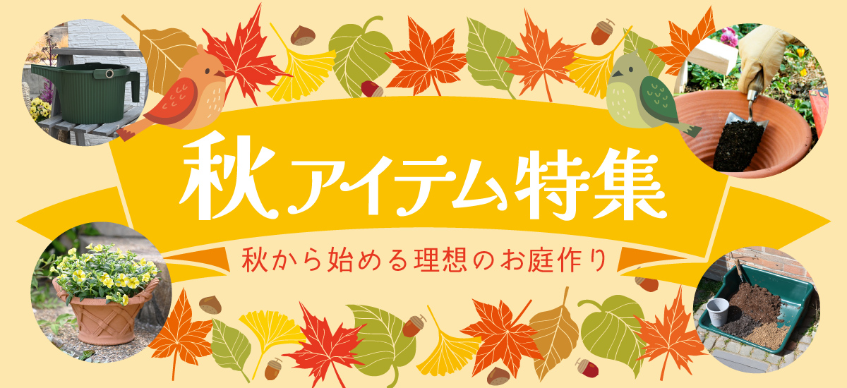 /event/sm-item_12.jpg