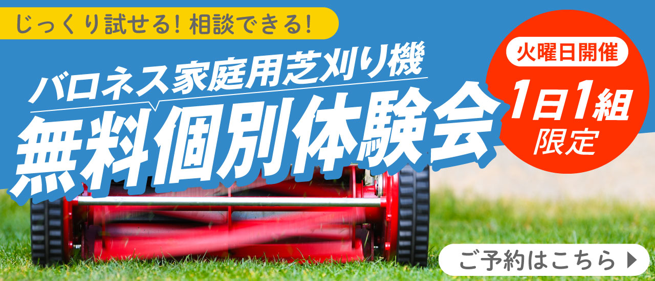 pr_lawnmowerex_bn_1200.jpg