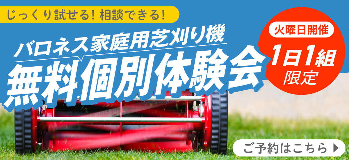 pr_lawnmowerex_bn_1200.jpg