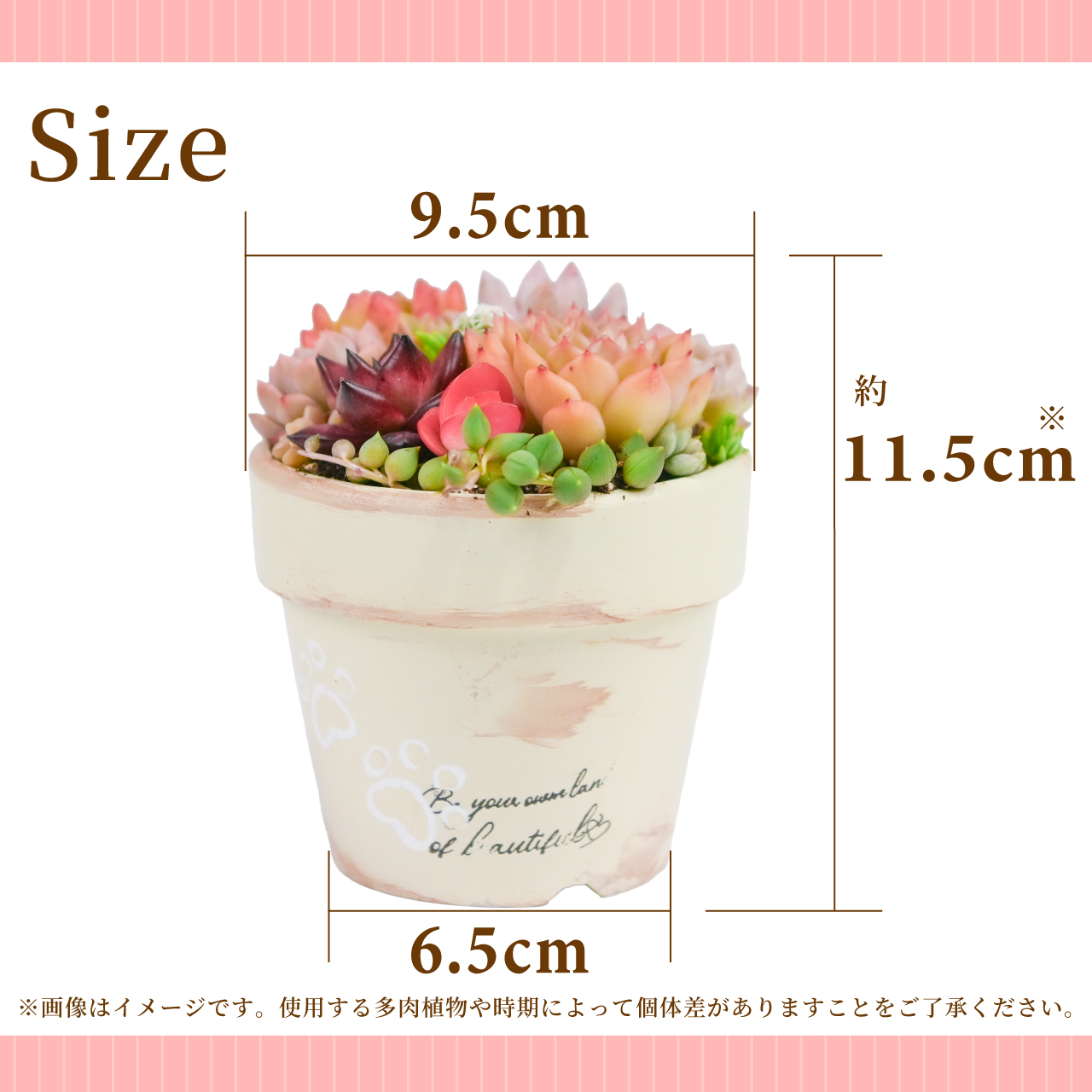 多肉寄せ植え 選べる鉢 レッド ブラック モスグリーン アイボリー 多肉
