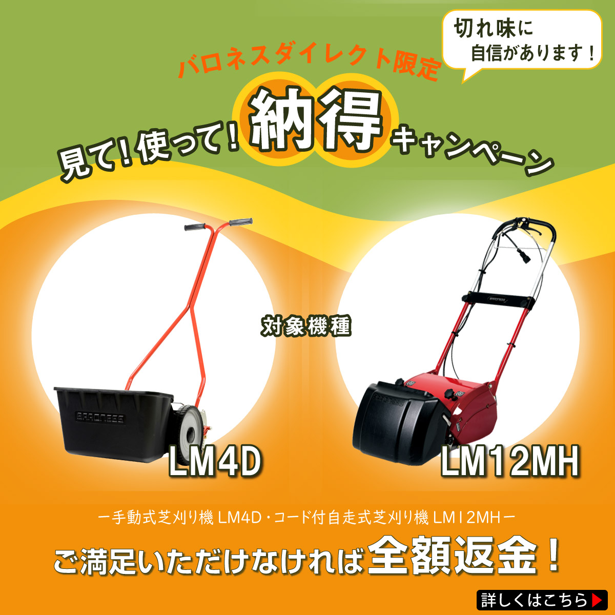 バロネス体験キャンペーンの詳細について