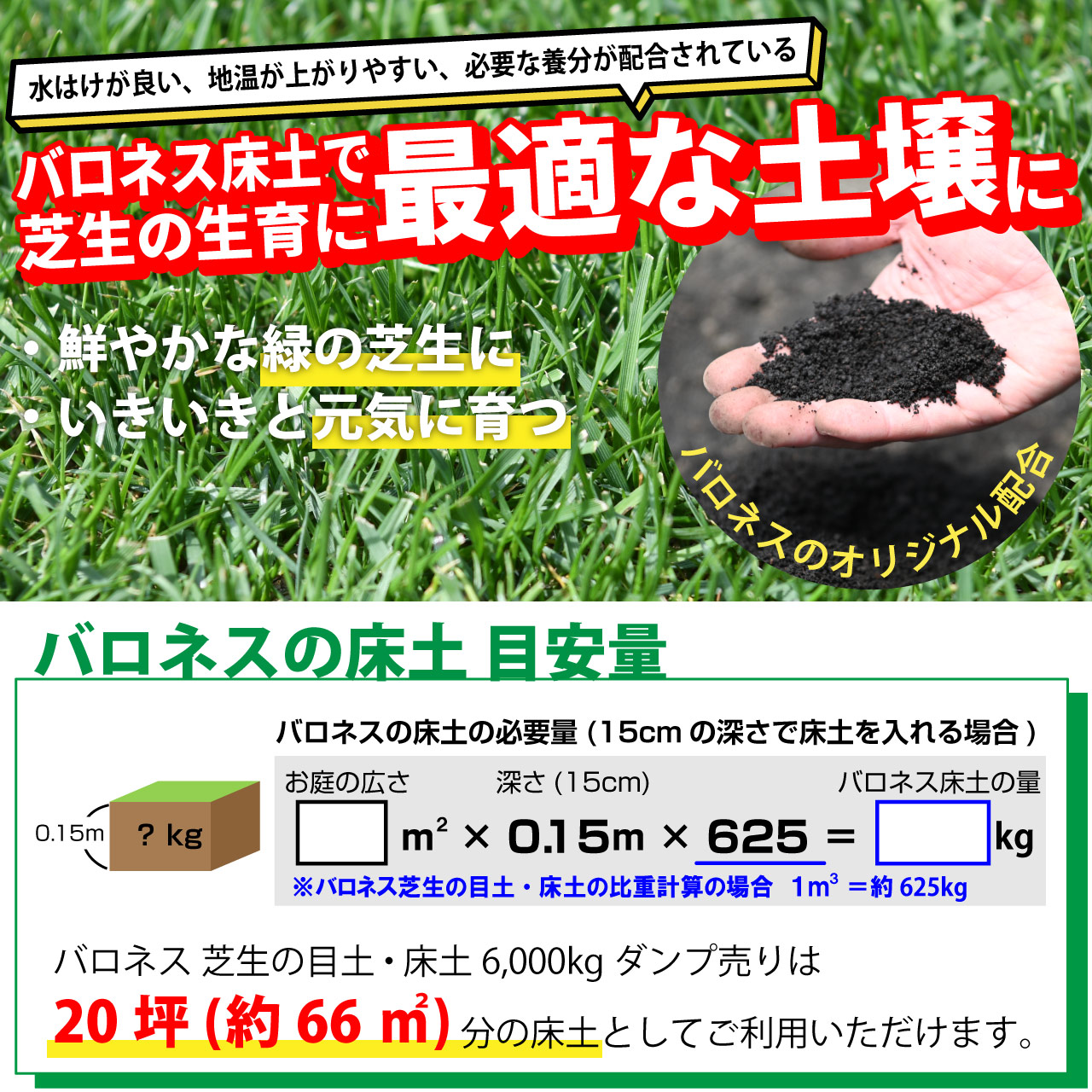 鮮やかな緑をつくる、バロネス　芝生の目土・床土