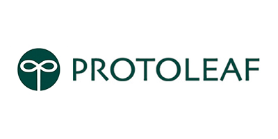 protoleaf-br_4.jpg