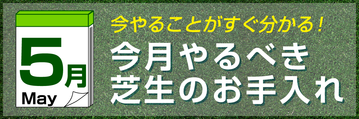 shibamonthly_bn_120.jpg