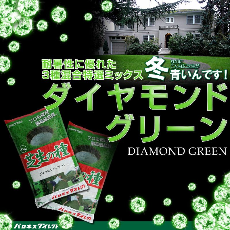 耐暑性に優れた特選ミックス/ダイヤモンドグリーン 1kg入りお庭の広さ6