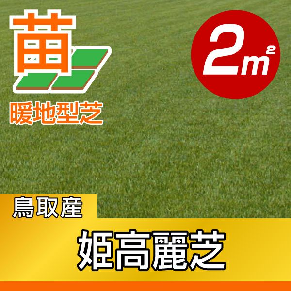 2平米 姫高麗芝】姫高麗芝 張り芝用 プレミアム苗 鳥取産 2平米(0.6