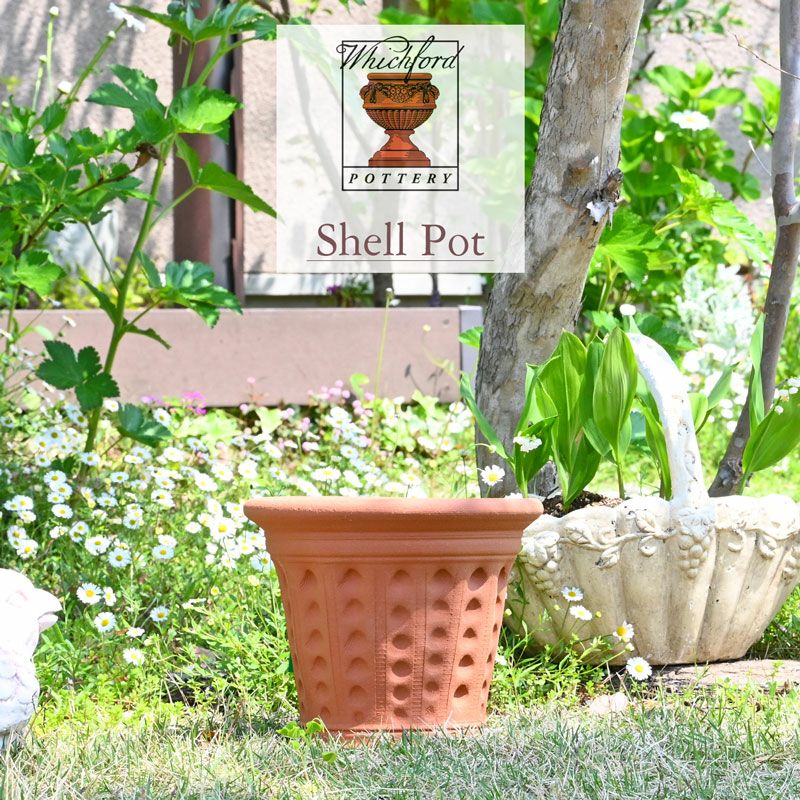 英国 Whichford ウィッチフォード シェル ポット 直径23センチ（約7.5