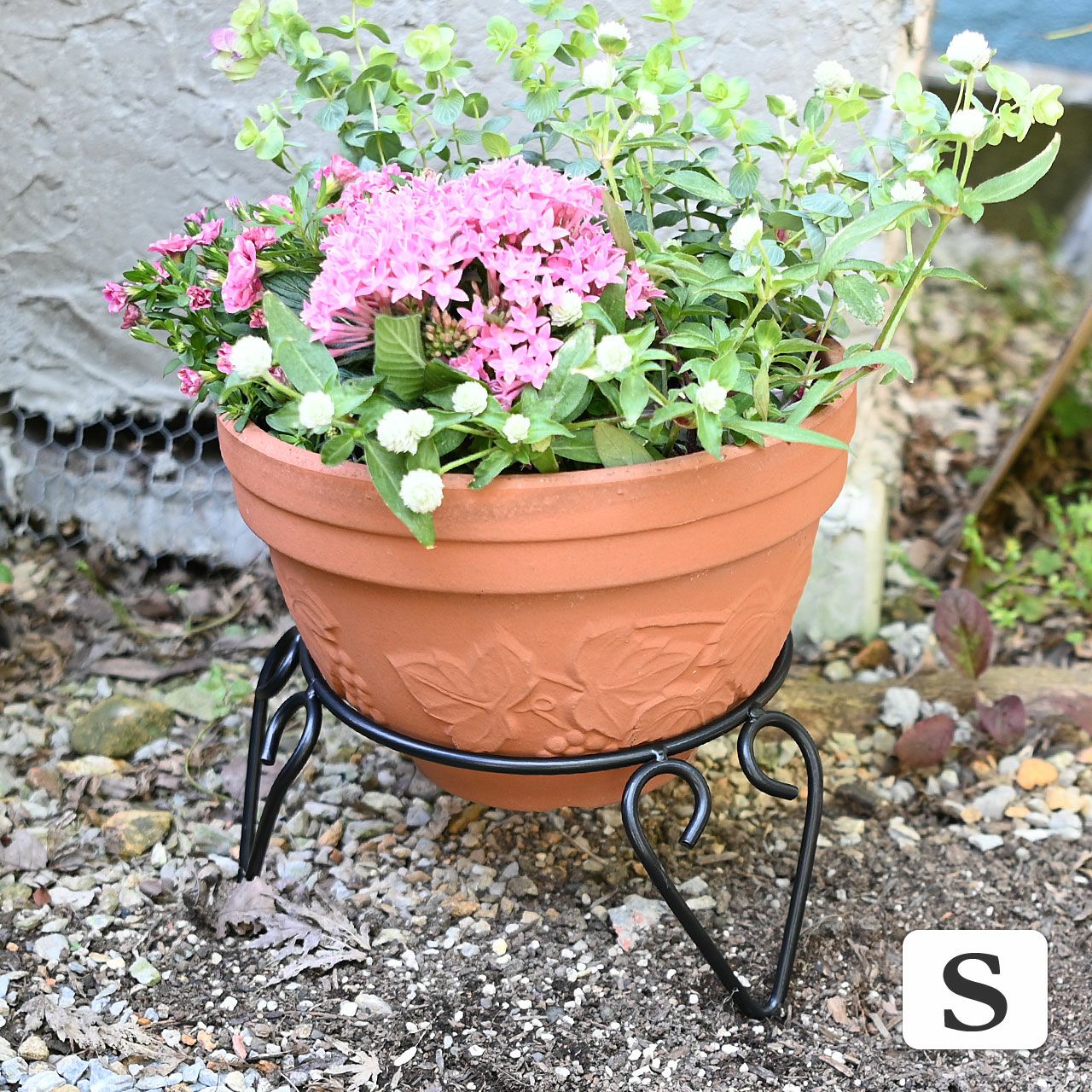 000000003469-01.jpg?size=l&w=