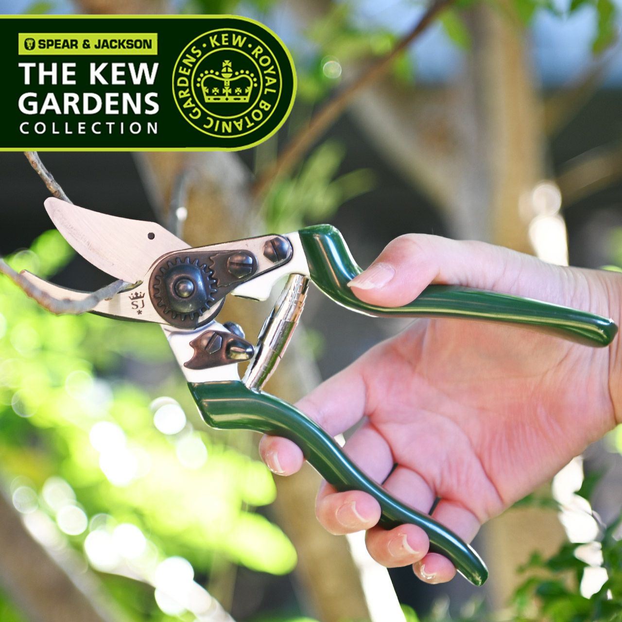 000000003732-01.jpg?size=l&w=