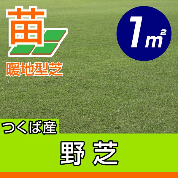野芝（普通種） | 芝生のことならバロネスダイレクト