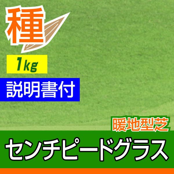 Benidaiセンチピードグラス 1kg入 お庭の広さ12～18坪用 暖地型芝の種