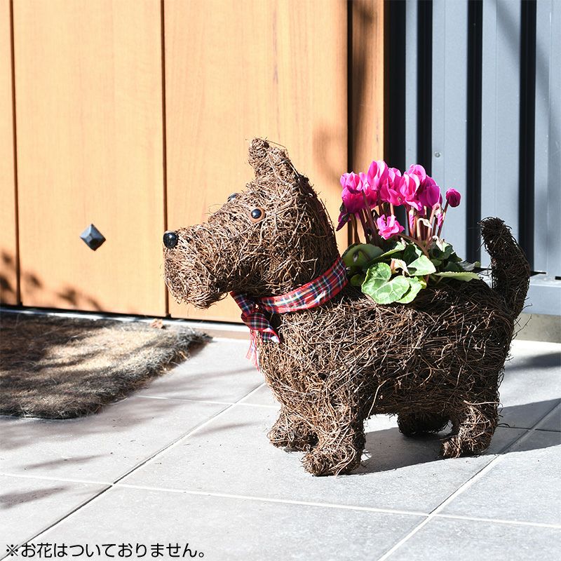 000000004611-01.jpg?size=l&w=