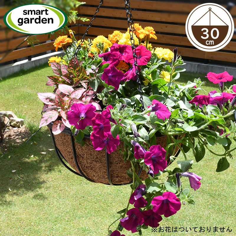 英国ブランド Smart Garden 吊り下げハンギングバスケット 30cm