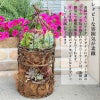 アンティーク調 フラワーバードケージ ブラウン Ｓサイズ ココヤシ付き