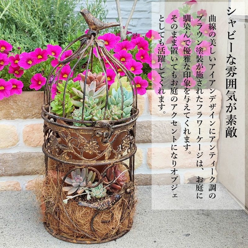 アンティーク調 フラワーバードケージ ブラウン Ｓサイズ ココヤシ付き