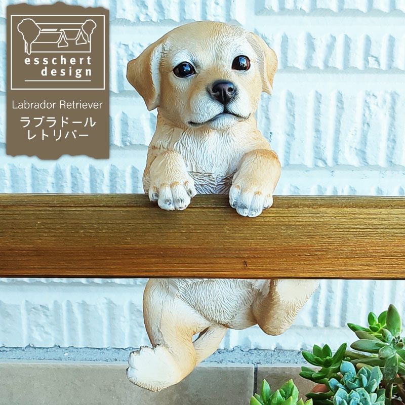 000000005889-01.jpg?size=l&w=