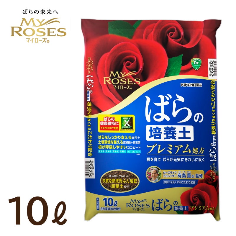 お纏め専用　多肉植物　❁︎春薔薇錦　新根あり お纏め専用 多肉植物 ❁︎春薔薇錦 新根あり 【公式通販】