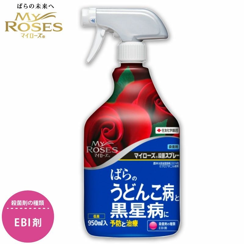 住友化学園芸 殺菌剤 マイローズ 殺菌スプレー 950ml KINCHO園芸