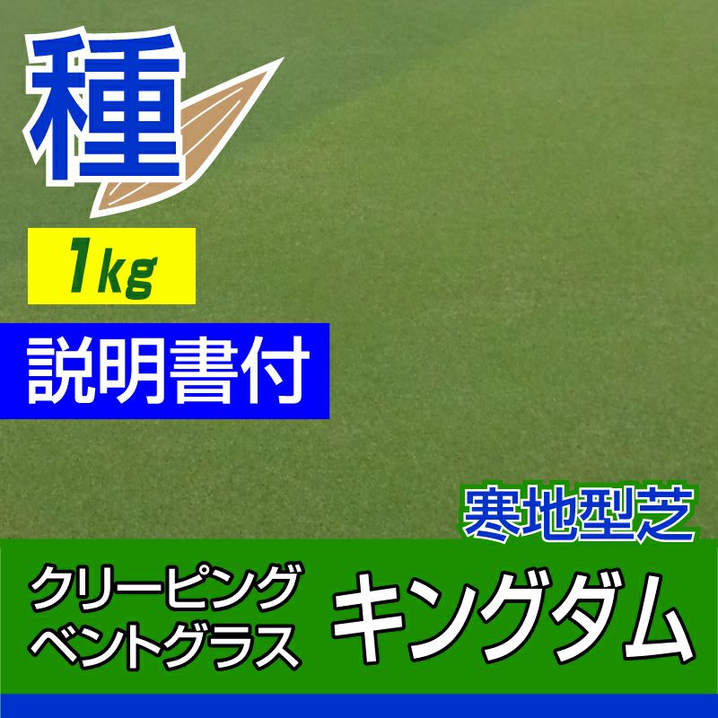 クリーピングベントグラス キングダム 1kg入 お庭の広さ23～37坪用