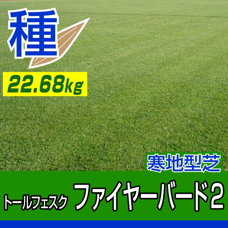 寒地型芝の種・苗 | 芝生のことならバロネスダイレクト