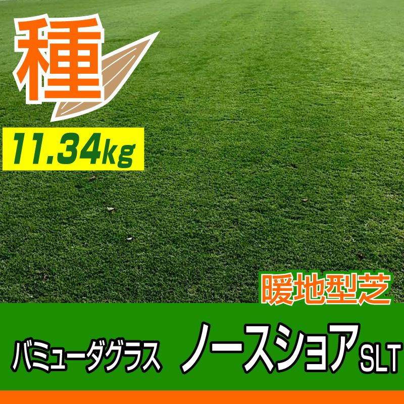 バミューダグラス ノースショアSLT 11.34kg入 お庭の広さ113～226坪用