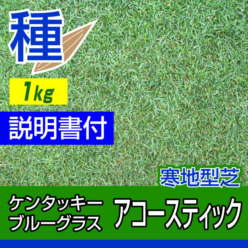 ケンタッキーブルーグラス アコースティック 1kg入 お庭の広さ12～15坪