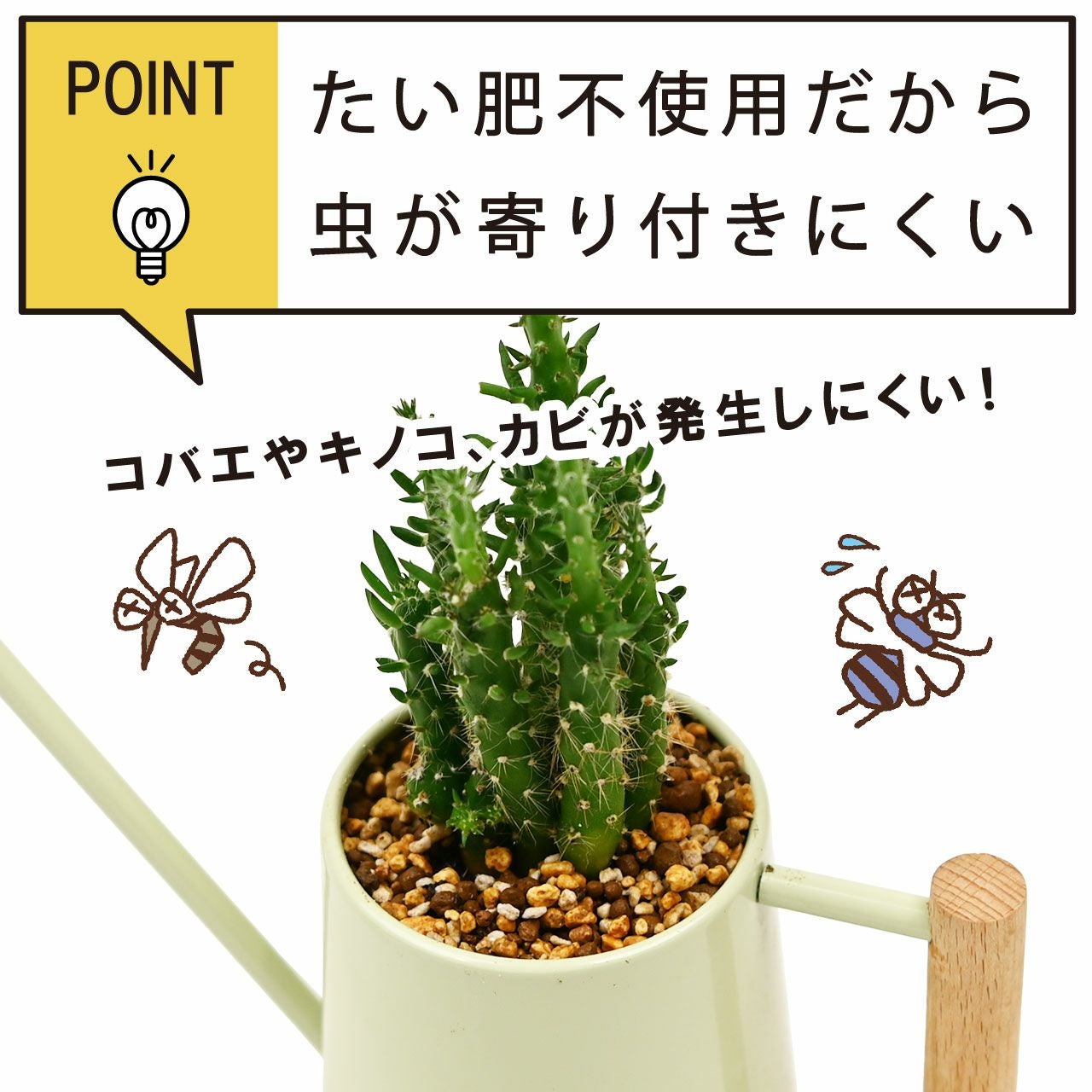 Top【選抜株】多肉植物　362387ロゼット グロウ　88個　鉢無し/脱土 プロトリーフ 室内向け観葉・多肉の土 10号鉢用 8.4L 用土 軽い 軽量