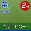 超高級芝生ニュークリーピングベントグラス 新品種DC-1(張り芝用)サンド仕様 プレミアム苗 2平米(約0.3坪分) 