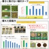 超高級芝生ニュークリーピングベントグラス 新品種DC-1(張り芝用)サンド仕様 プレミアム苗 2平米(約0.3坪分) 
