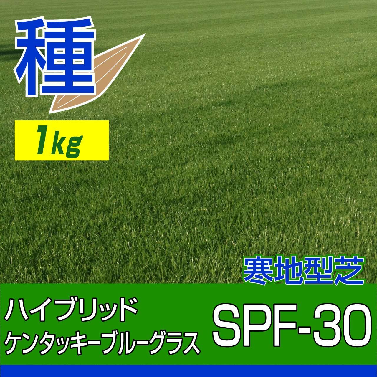 芝生のことならバロネスダイレクト