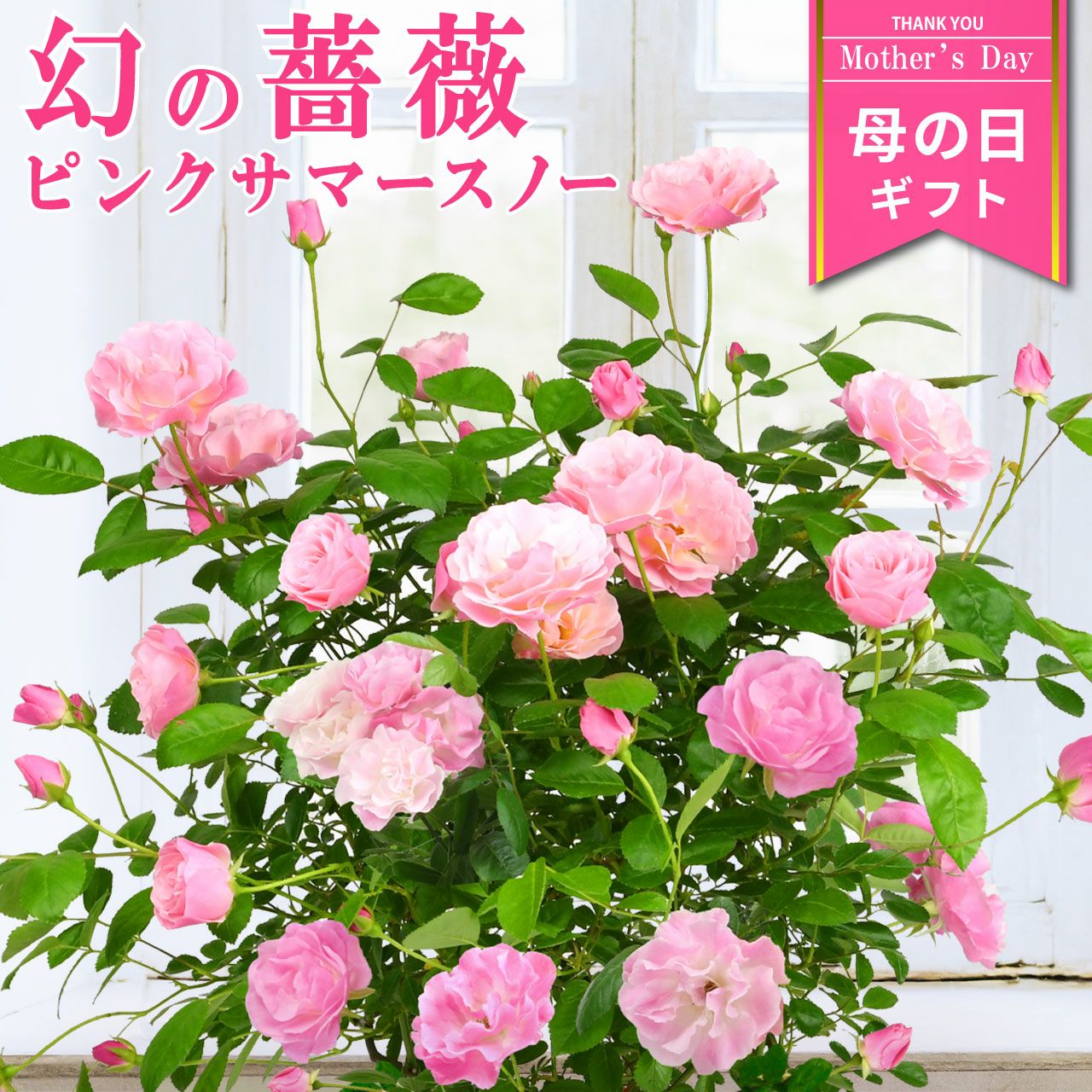 000000006227-01.jpg?size=l&w=