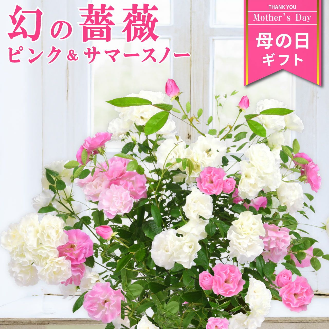 000000006228-01.jpg?size=l&w=