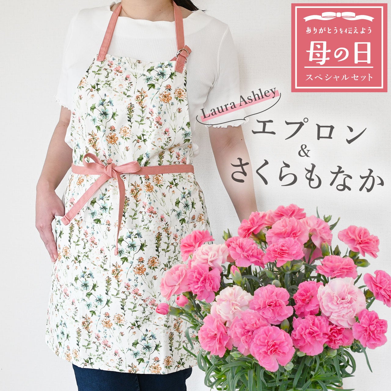 母の日 カーネーション＆エプロンセット（さくらもなか5号鉢＆ローラ