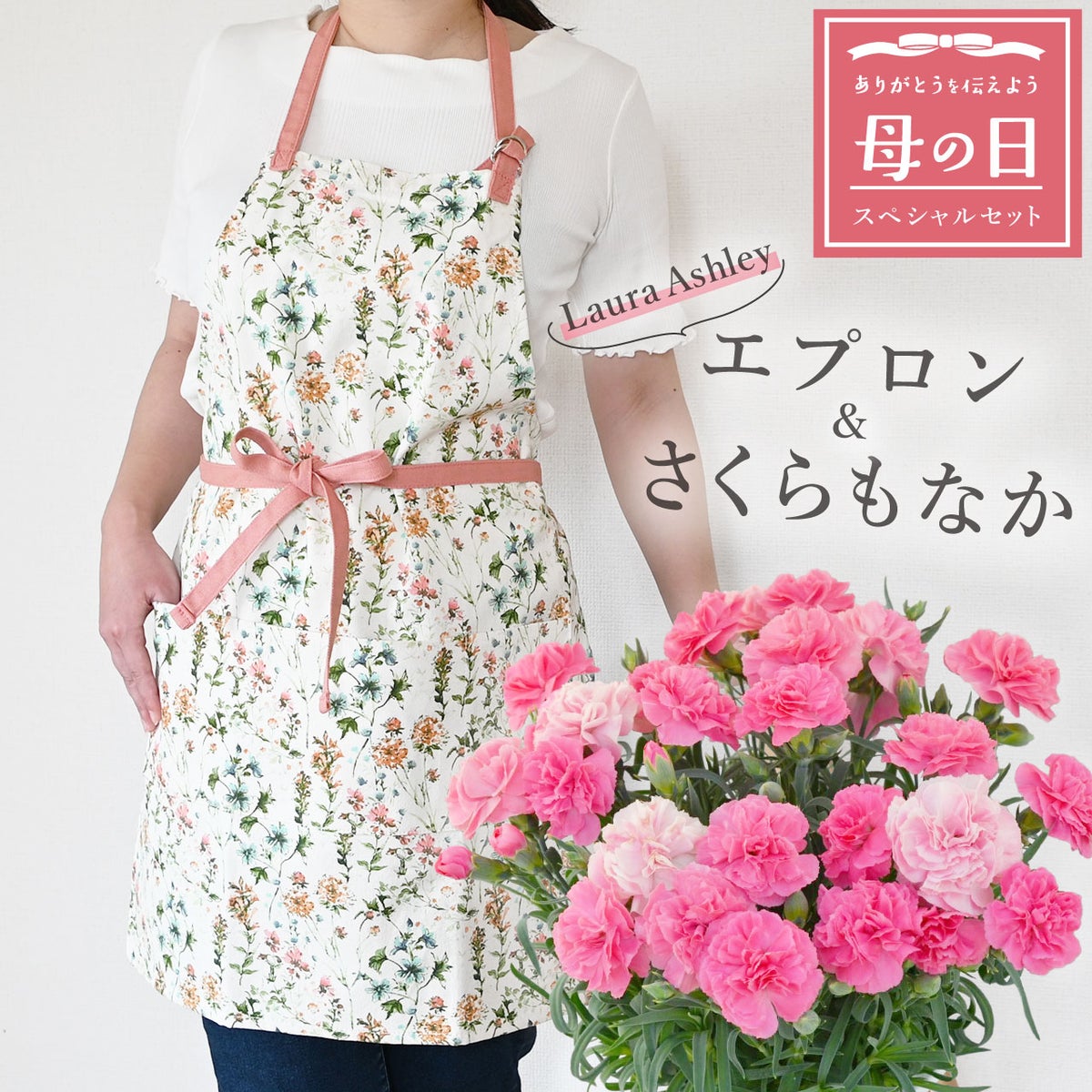 カーネーション＆エプロンセット（ひなあられ5号鉢＆ローラアシュレイエプロン）