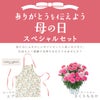 カーネーション＆エプロンセット（ひなあられ5号鉢＆ローラアシュレイエプロン）