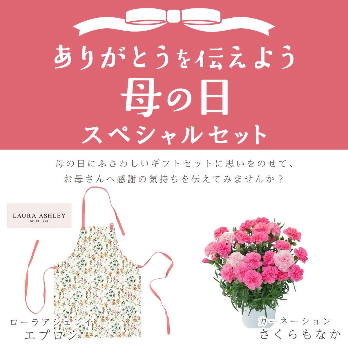 カーネーション＆エプロンセット（ひなあられ5号鉢＆ローラアシュレイエプロン）