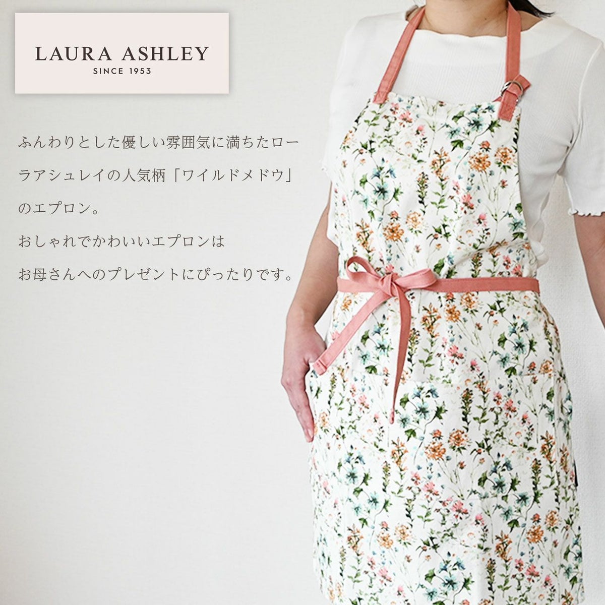 カーネーション＆エプロンセット（ひなあられ5号鉢＆ローラアシュレイエプロン）