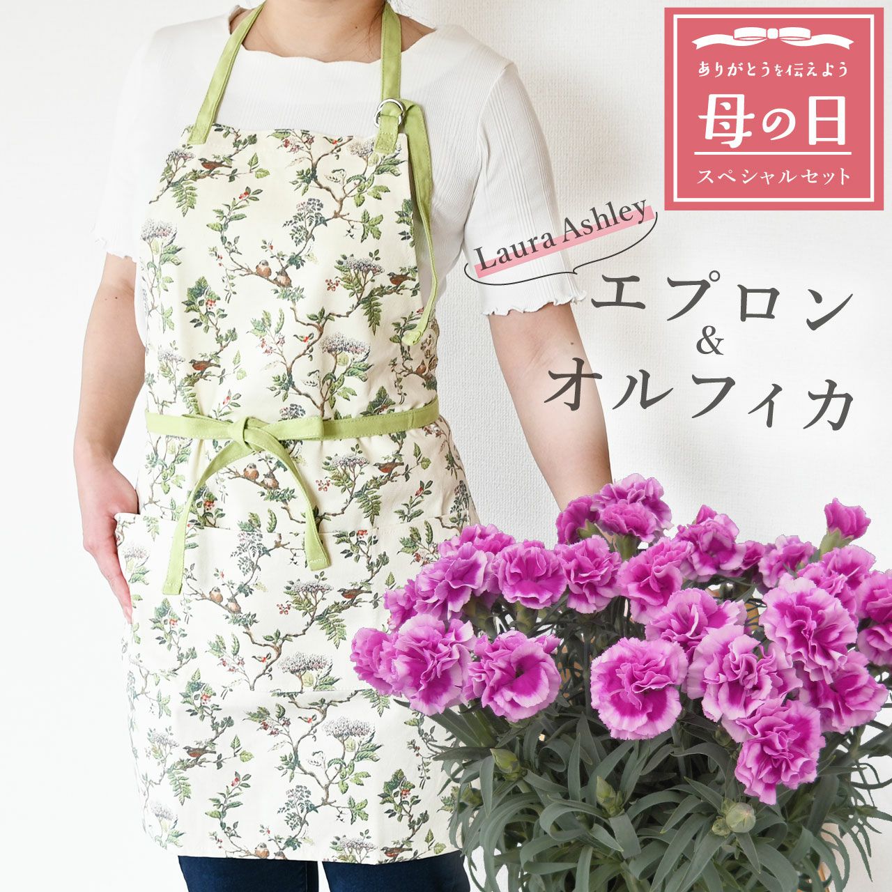 母の日 カーネーション＆エプロンセット（オルフィカ5号鉢＆ローラ