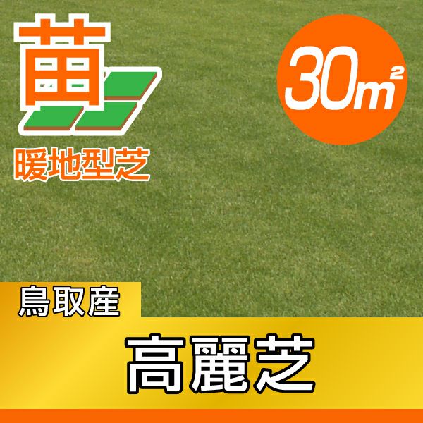 30平米 高麗芝】高麗芝 張り芝用 プレミアム苗 鳥取産30平米(9坪分
