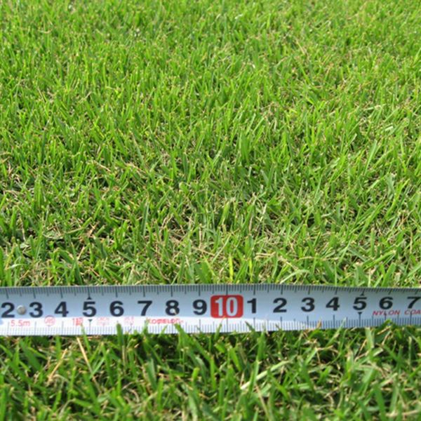 【3０平米 高麗芝】高麗芝