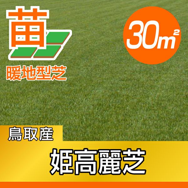 【芝生】姫高麗芝　30平米分 30平米 姫高麗芝】姫高麗芝 張り芝用 プレミアム苗 鳥取産 30平米(9坪
