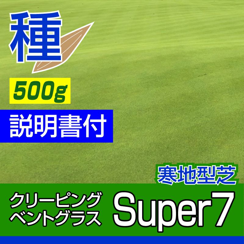 クリーピングベントグラス Super7 スーパーセブン 500g入り お庭の広さ