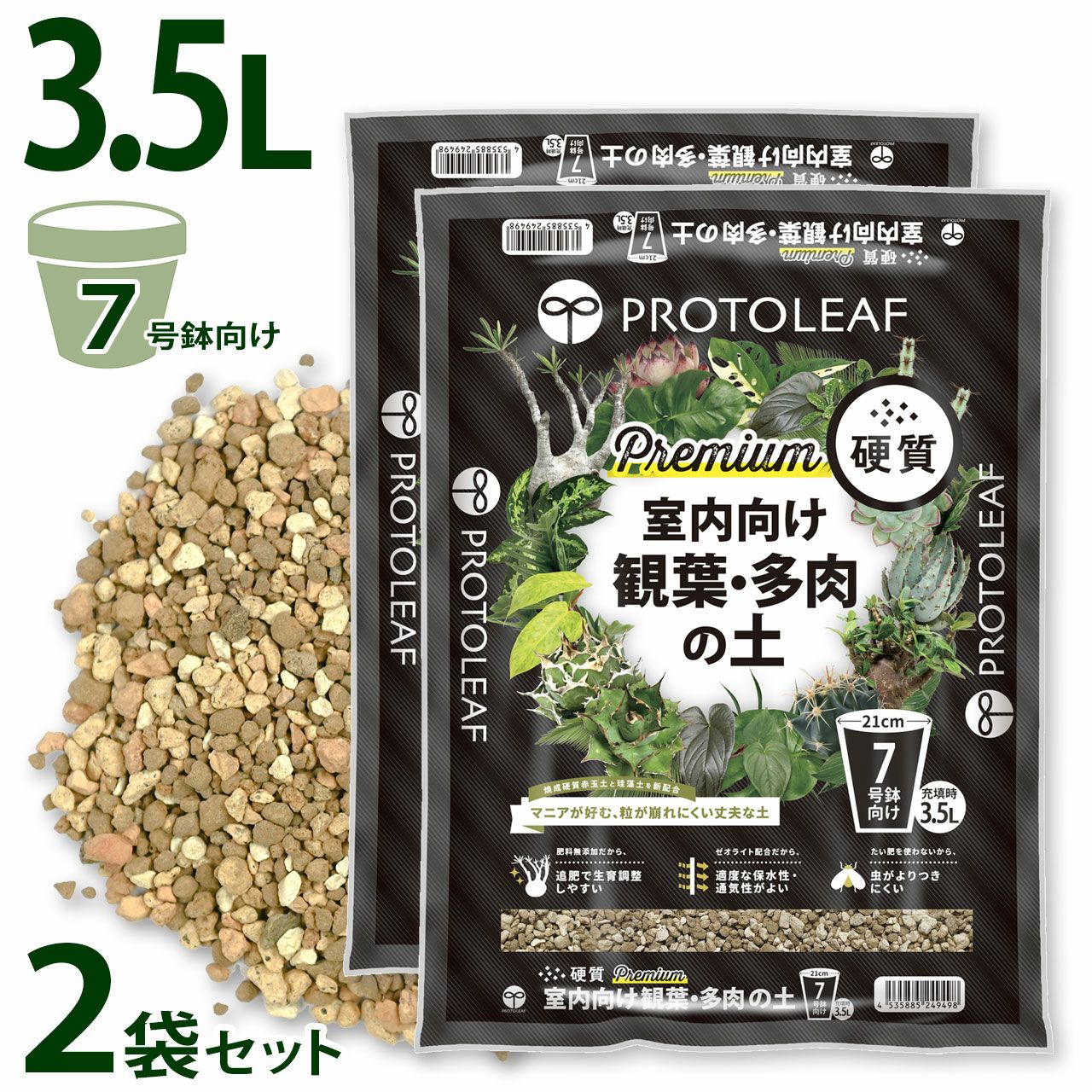 Top【選抜株】多肉植物　264181ブロンズ フェイス　63個　鉢無し/脱土 11月23日(土) 多肉植物寄せ植え体験・直売会を開催。栽培初心者の方に