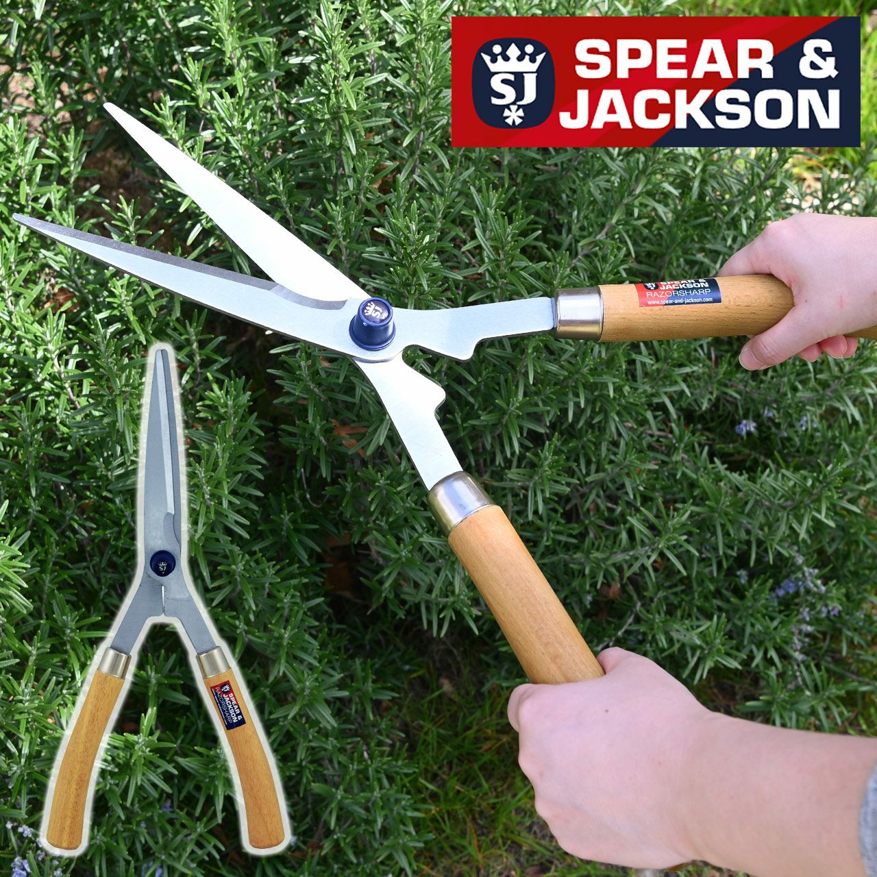 000000006299-01.jpg?size=l&w=