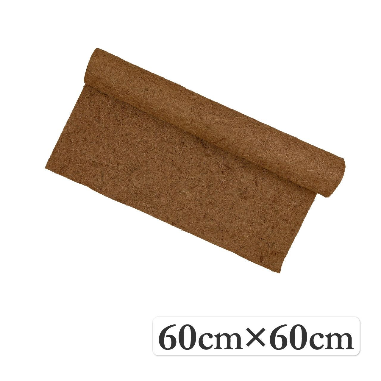 000000006341-01.jpg?size=l&w=