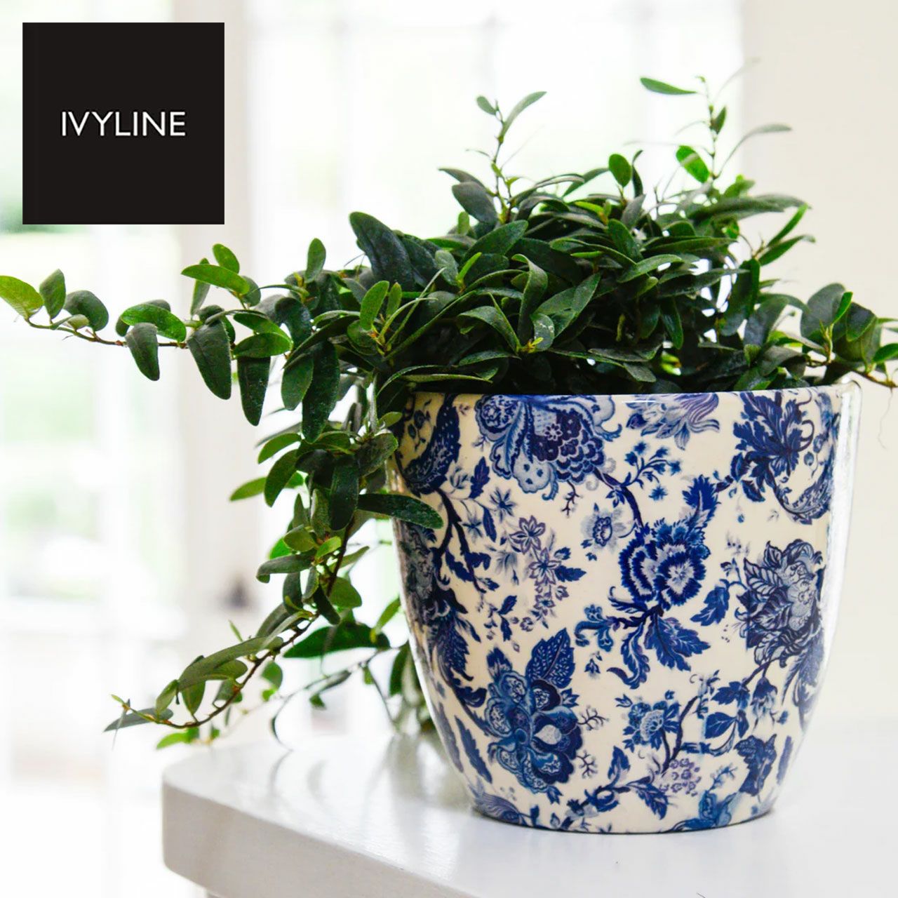 IVYLINE モンツァプランター ヴィンテージブルー 鉢 カバー ポット
