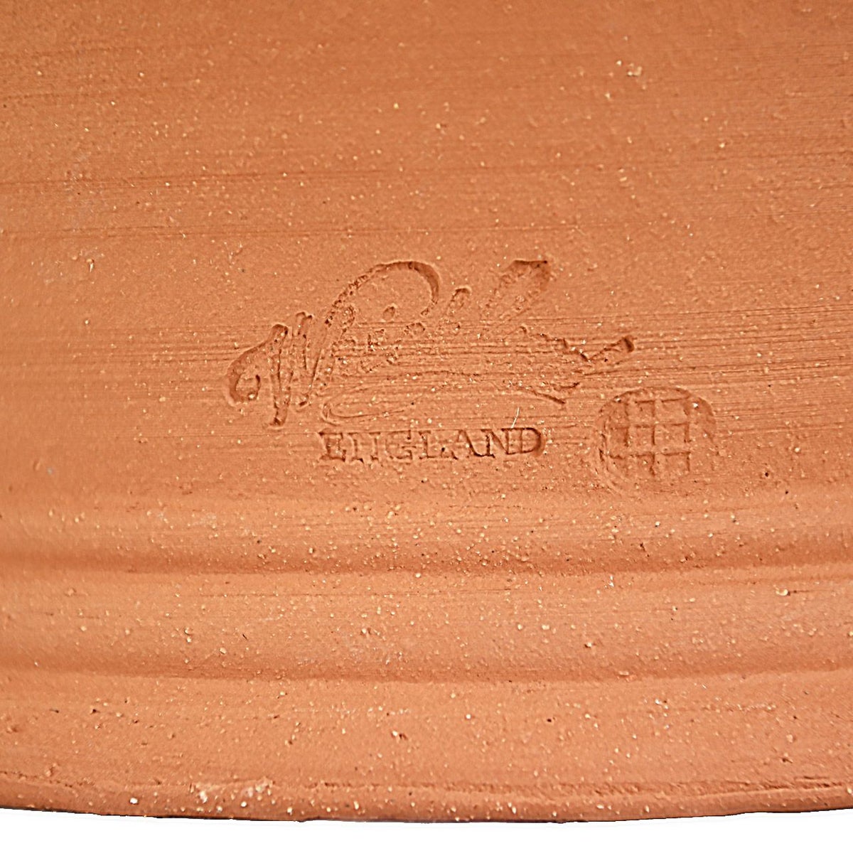 ウィッチフォード シチリアンレモン 直径31cm