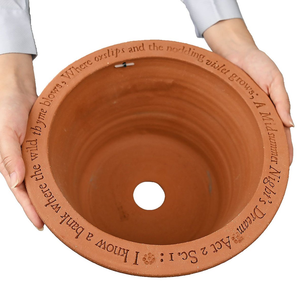 ウィッチフォード ミッドサマー ナイト ドリーム