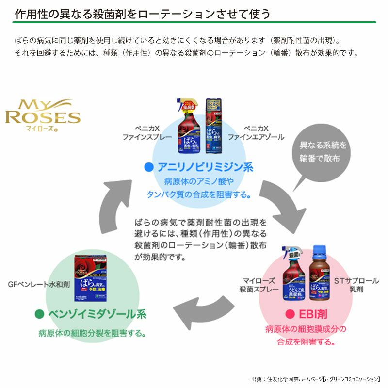 住友化学園芸 殺虫殺菌剤 マイローズ ベニカXファインスプレー 950ml 2本セット KINCHO園芸