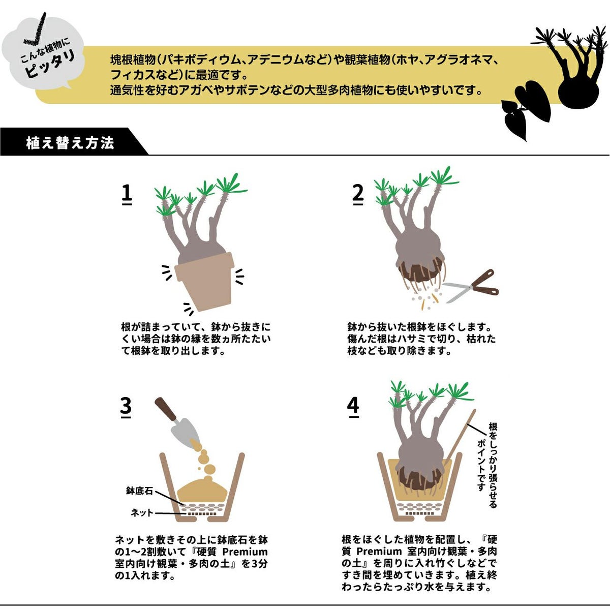 プロトリーフ 室内向け観葉・多肉の土 硬質 Premium 3.5L 8袋セット プレミアム 観葉植物 多肉 塊根 7号鉢向け